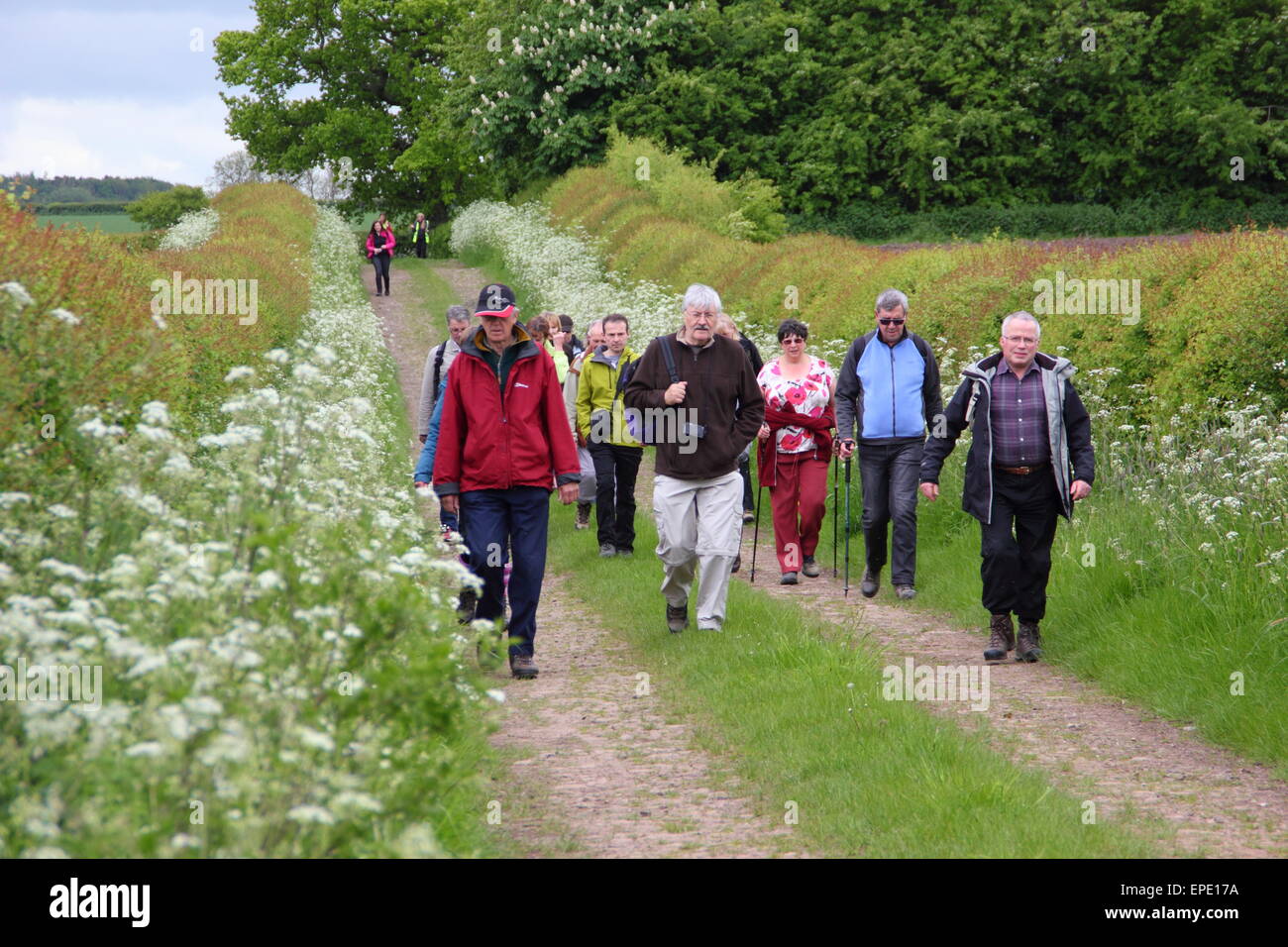 Un gruppo di escursionisti partecipare ad una passeggiata guidata attraverso il Derbyshire campagna come parte di Chesterfield Walking Festival UK potrebbe Foto Stock
