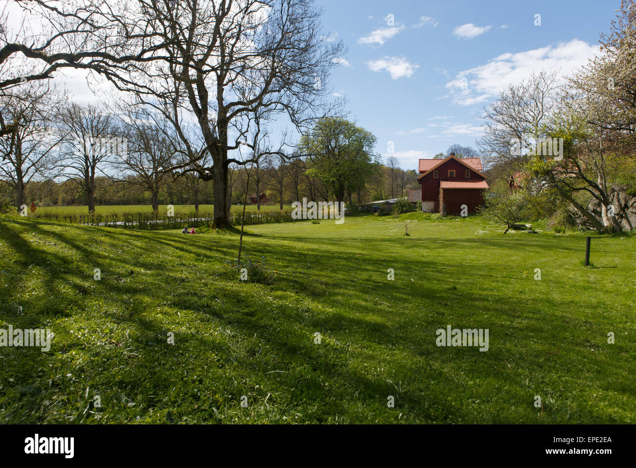 Giardino Sundsby a Tjörn isola in Svezia a inizio stagione estiva Foto Stock
