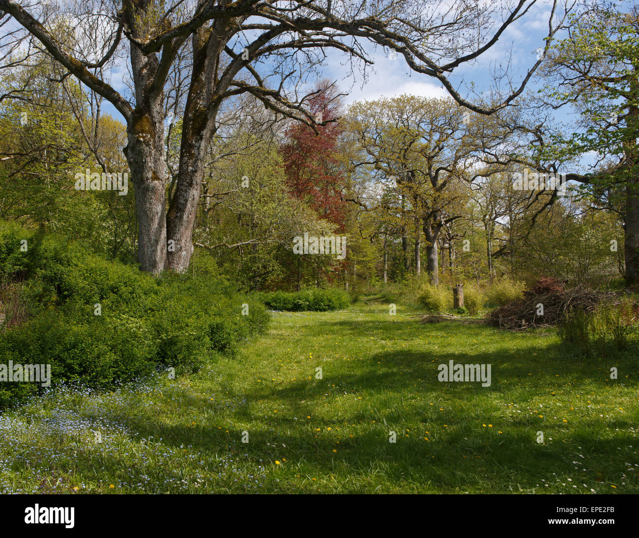 Giardino Sundsby a Tjörn isola in Svezia a inizio stagione estiva Foto Stock