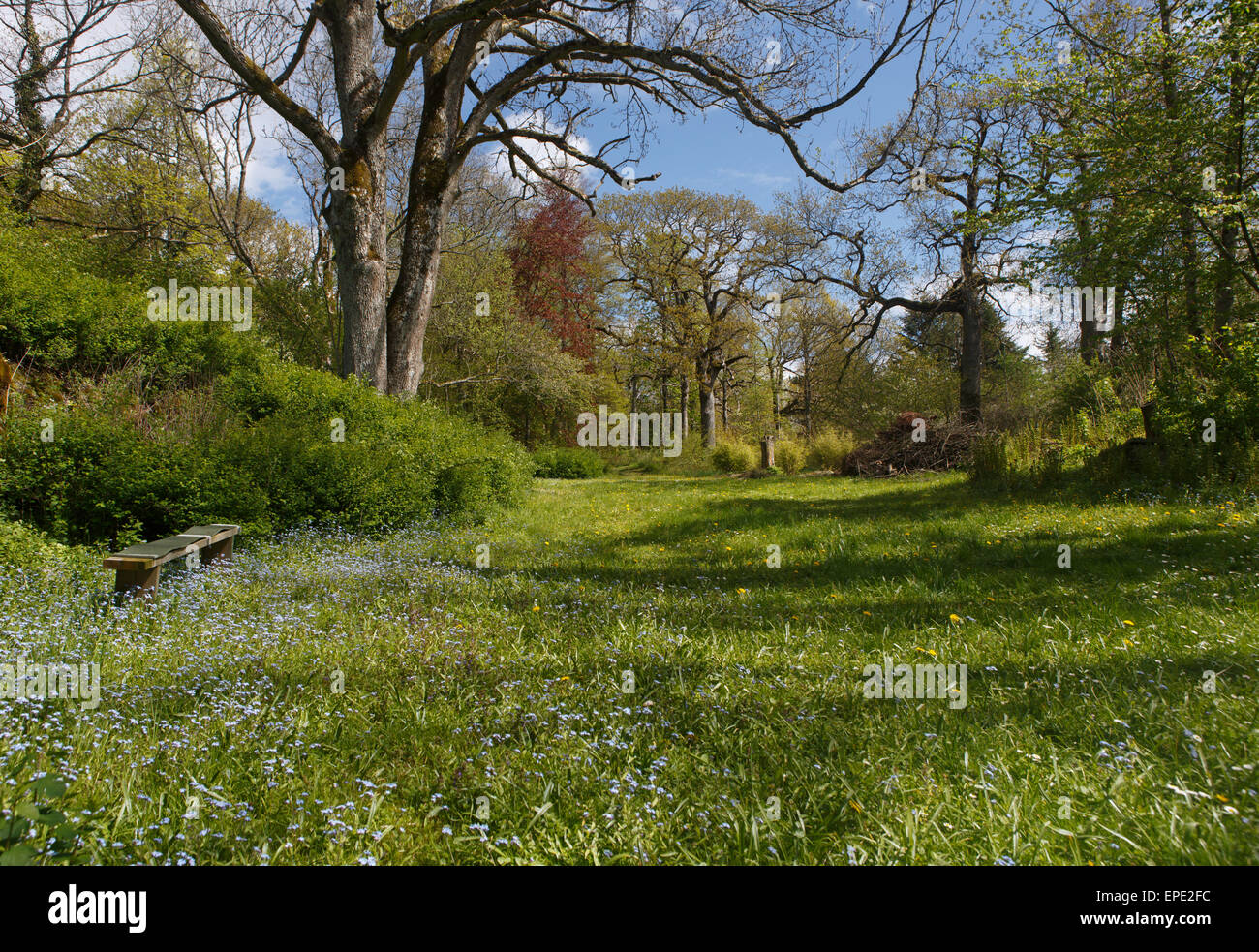 Giardino Sundsby a Tjörn isola in Svezia a inizio stagione estiva Foto Stock