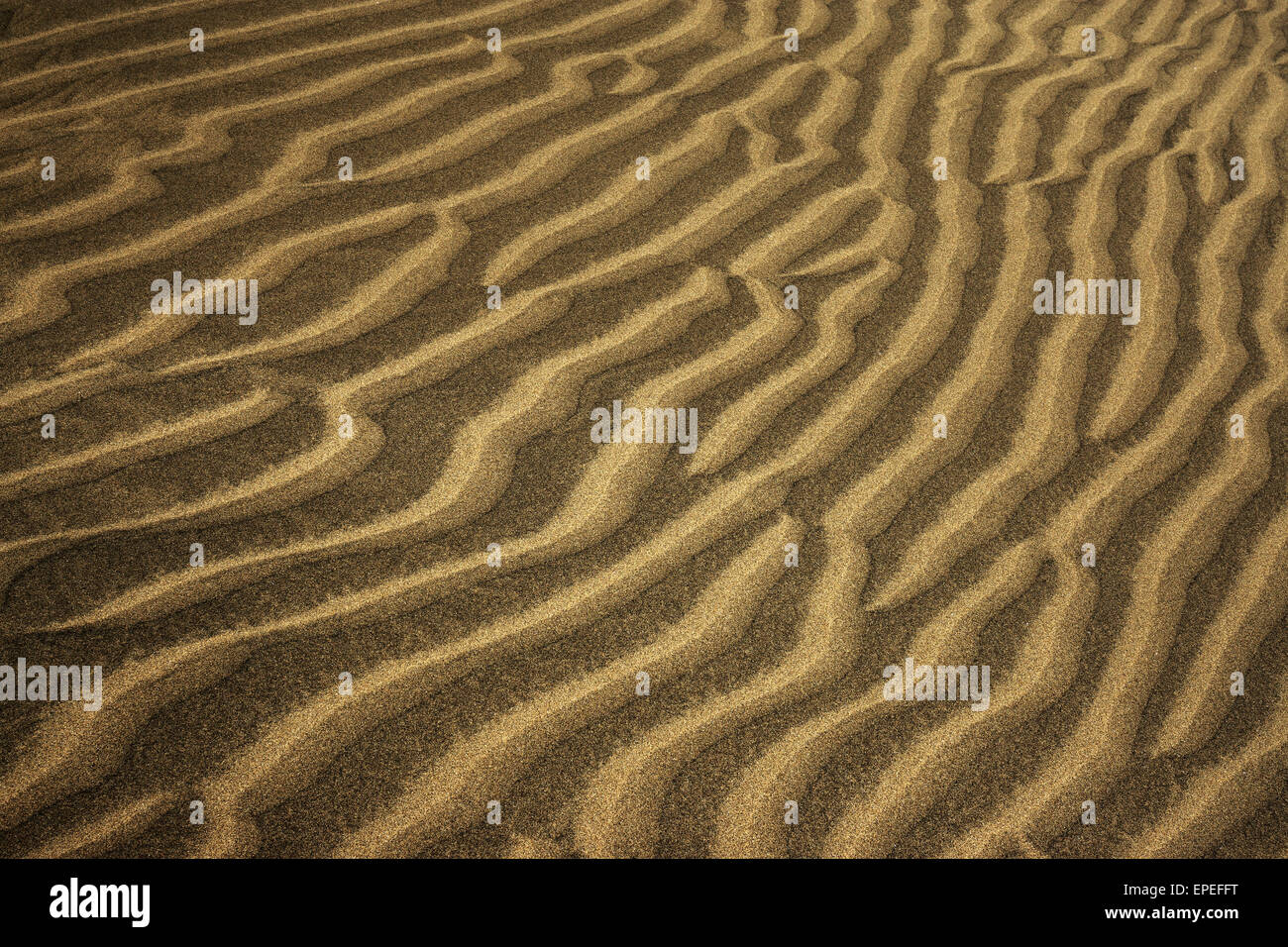 Strutture ondulate nella sabbia, dune di Maspalomas, Riserva Naturale, Gran Canaria Isole Canarie Spagna Foto Stock