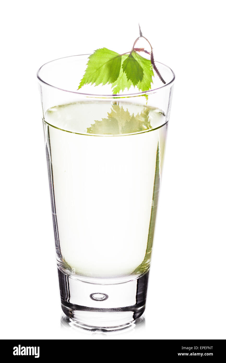 Un highball bicchiere di birch sap decorate con belle foglie di betulla Foto Stock