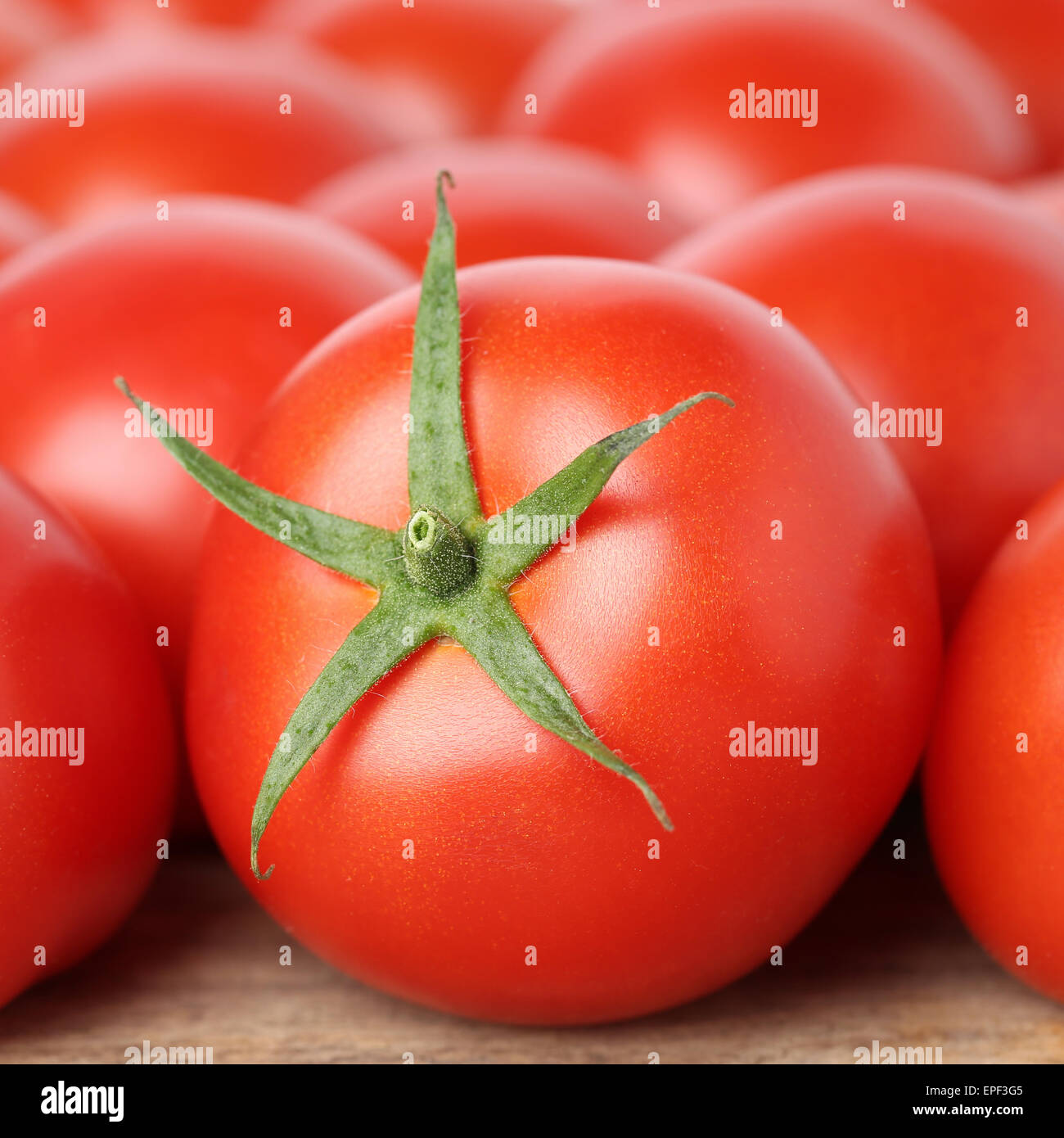 Frische rote Tomaten Foto Stock