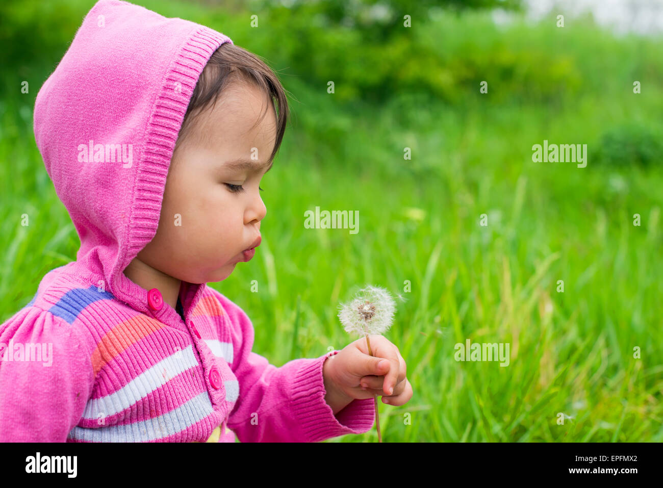 Sweet little girl soffiando tarassaco sul prato Foto Stock