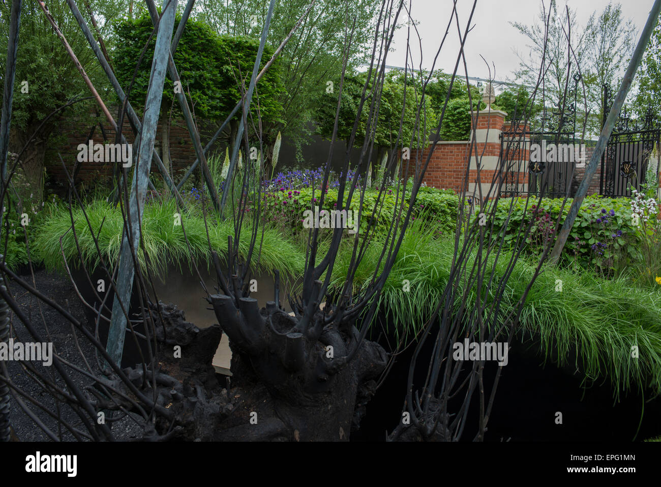 2015 RHS Chelsea Flower Show Premere Giorno, Royal Hospital Chelsea, Londra, Regno Unito. 18 Maggio, 2015. Il lascito vivente giardino da Darwin Property Management Investment, progettato da Andrew Wilson e Gavin McWilliam, commemora il duecentesimo anniversario della battaglia di Waterloo e celebra il ruolo di Wellington College come il Duca di Wellington memoriale nazionale e vivente eredità. Credito: Malcolm Park editoriale/Alamy Live News Foto Stock