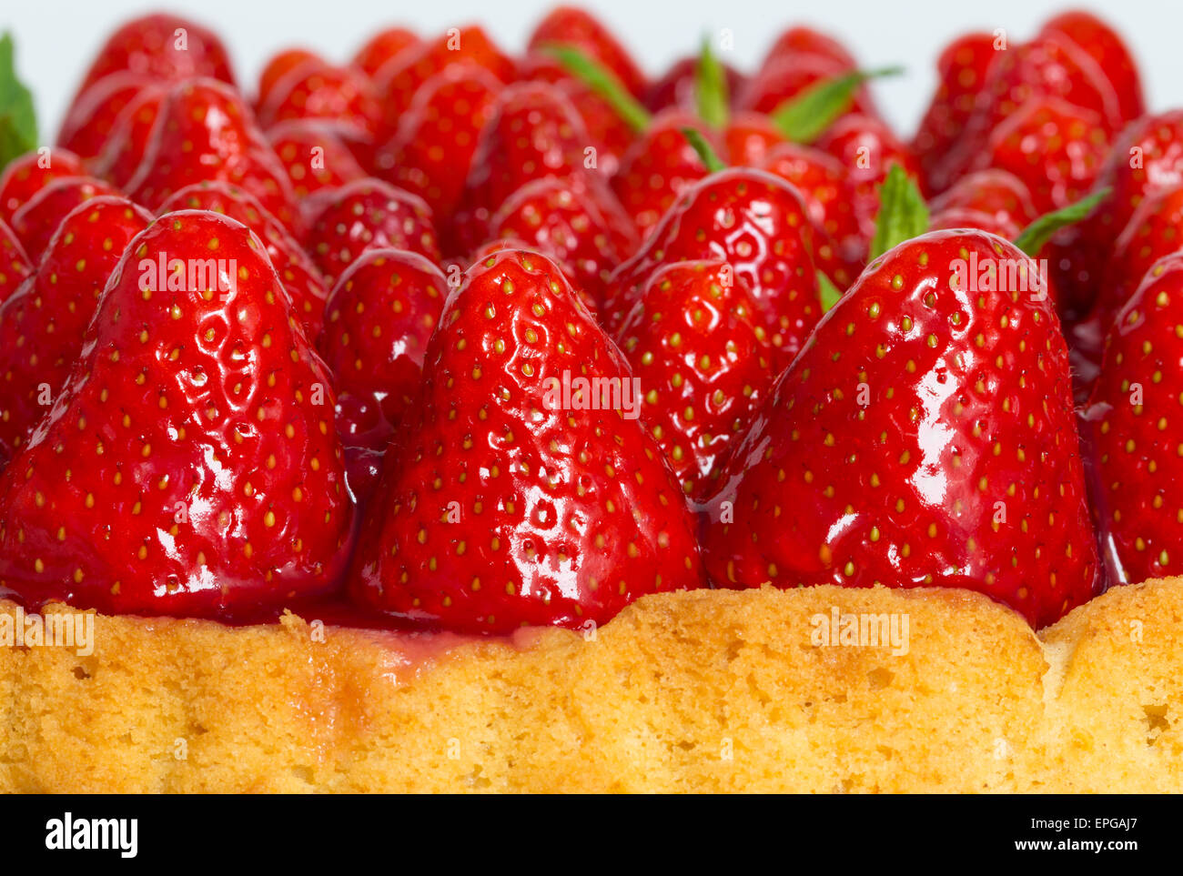 La torta di fragole con la menta macro closeup. Foto Stock