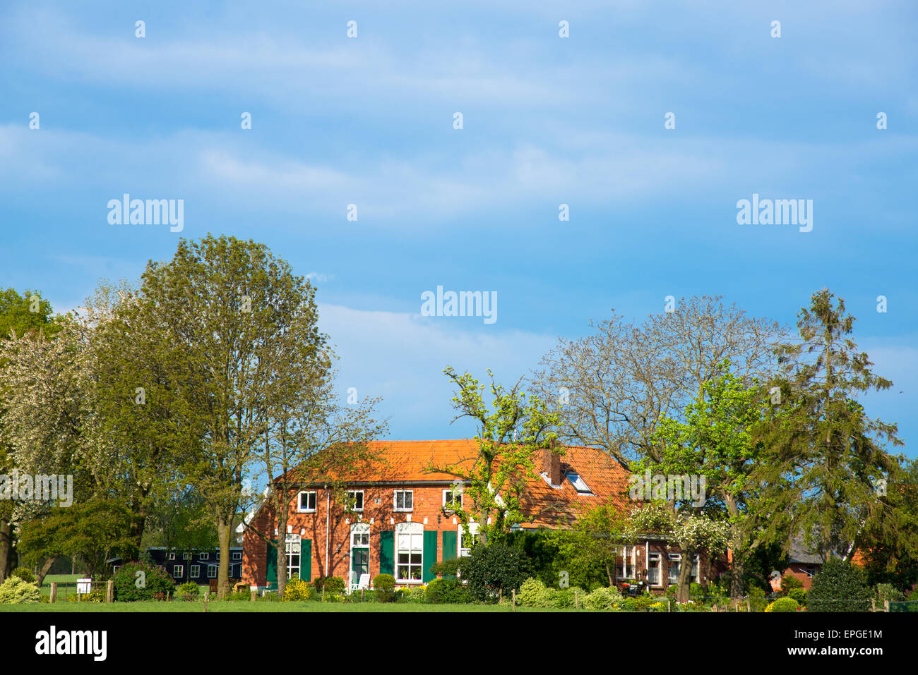 Azienda agricola tradizionale in Olanda achterhoek Foto Stock