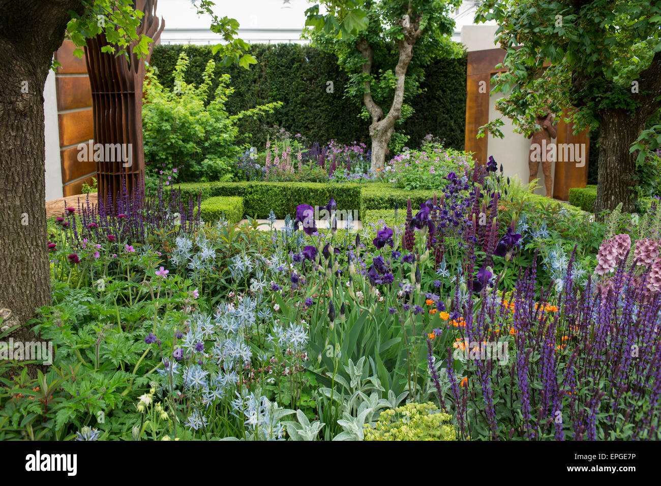 2015 RHS Chelsea Flower Show Premere Giorno, Royal Hospital Chelsea, Londra, Regno Unito. 18 Maggio, 2015. La Morgan Stanley Città Sane giardino, progettato da Chris Beardshaw. Credito: Malcolm Park editoriale/Alamy Live News Foto Stock