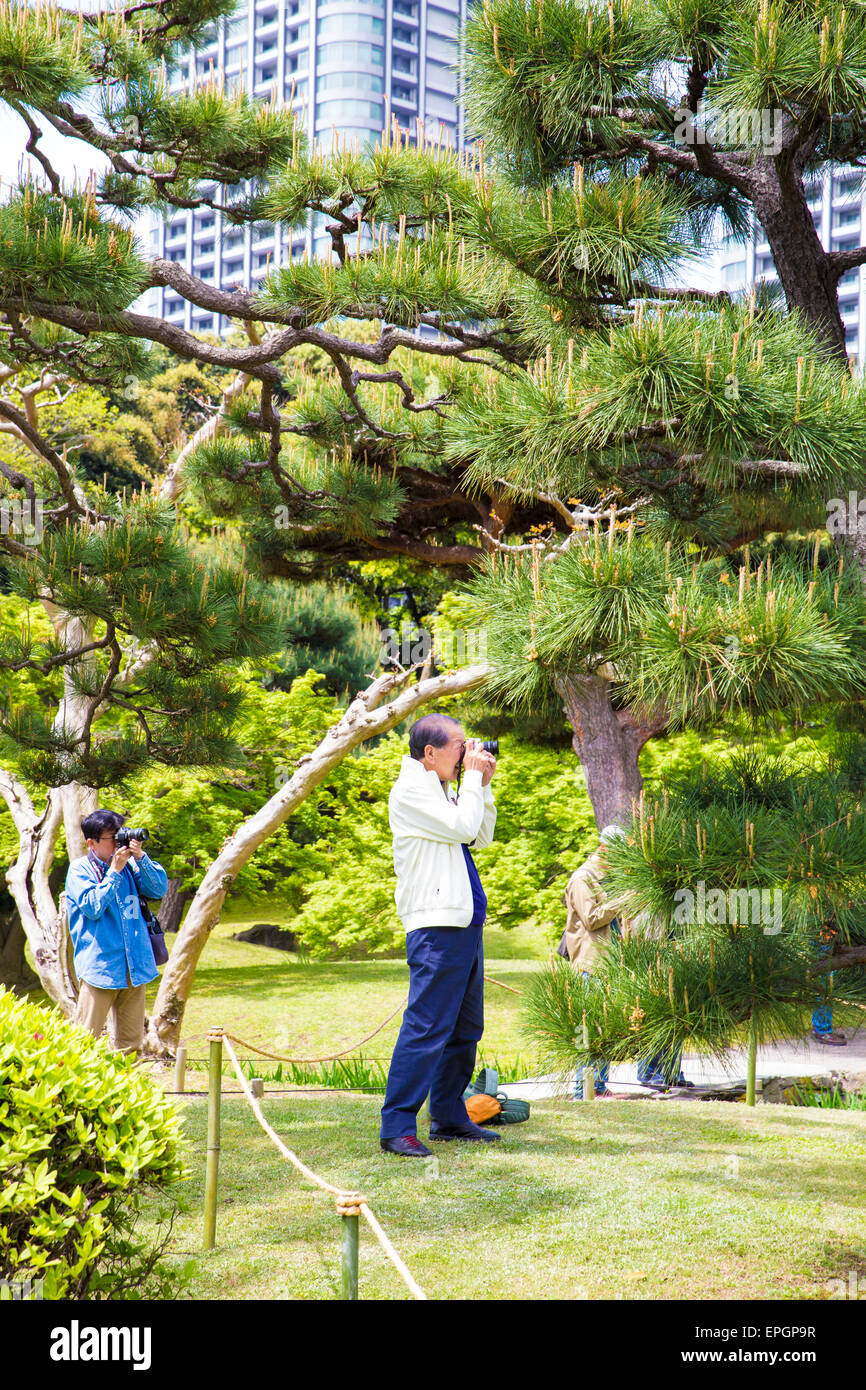 Asian maschi fotografare fiori in un parco a Tokyo, Giappone Foto Stock