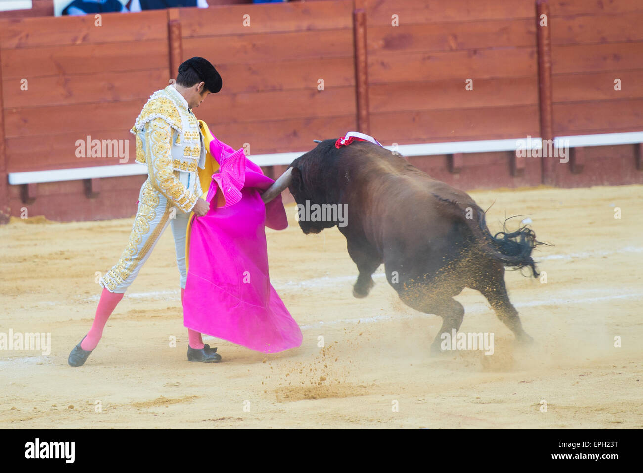 JEREZ DE LA FRONTERA, Spagna - 16 Maggio: torero Cayetano Rivera durante la corrida tenutasi presso la fiera di Jerez de la Frotera. Foto Stock