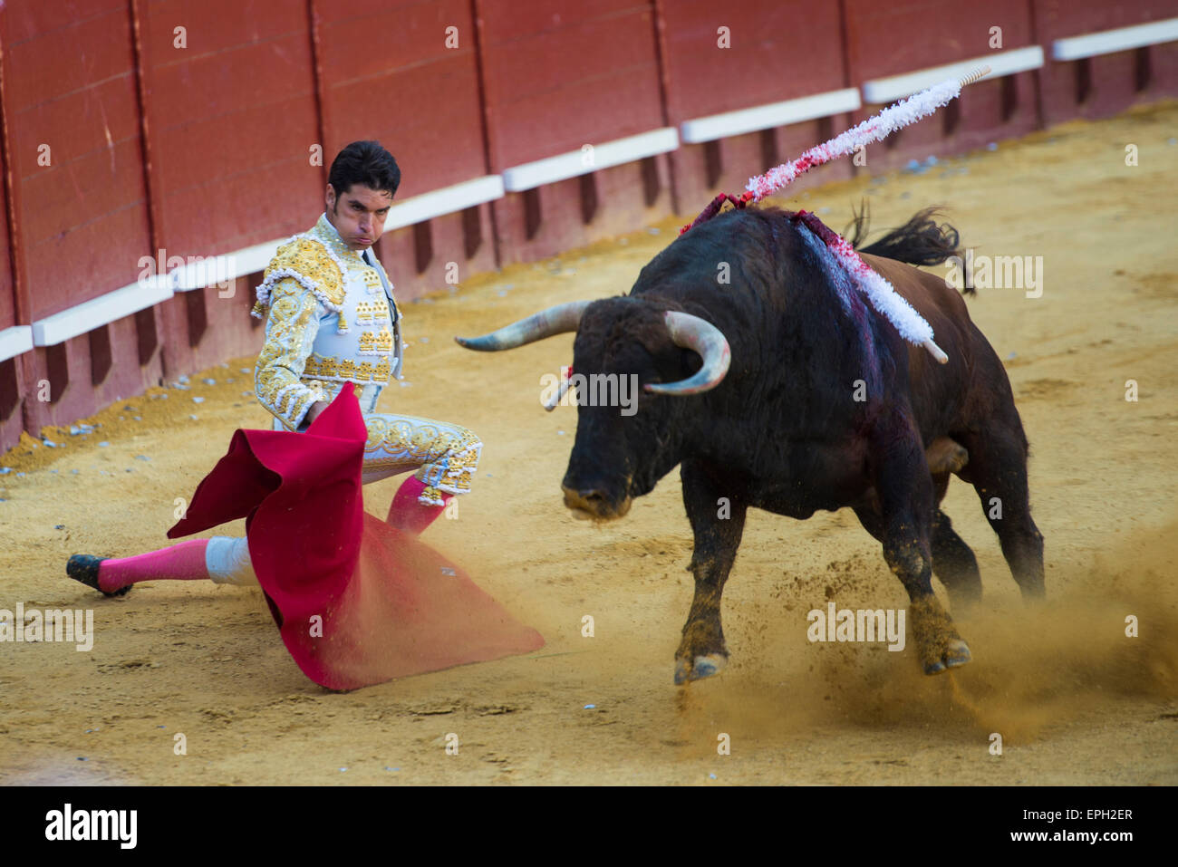 JEREZ DE LA FRONTERA, Spagna - 16 Maggio: torero Cayetano Rivera durante la corrida tenutasi presso la fiera di Jerez de la Frotera. Foto Stock