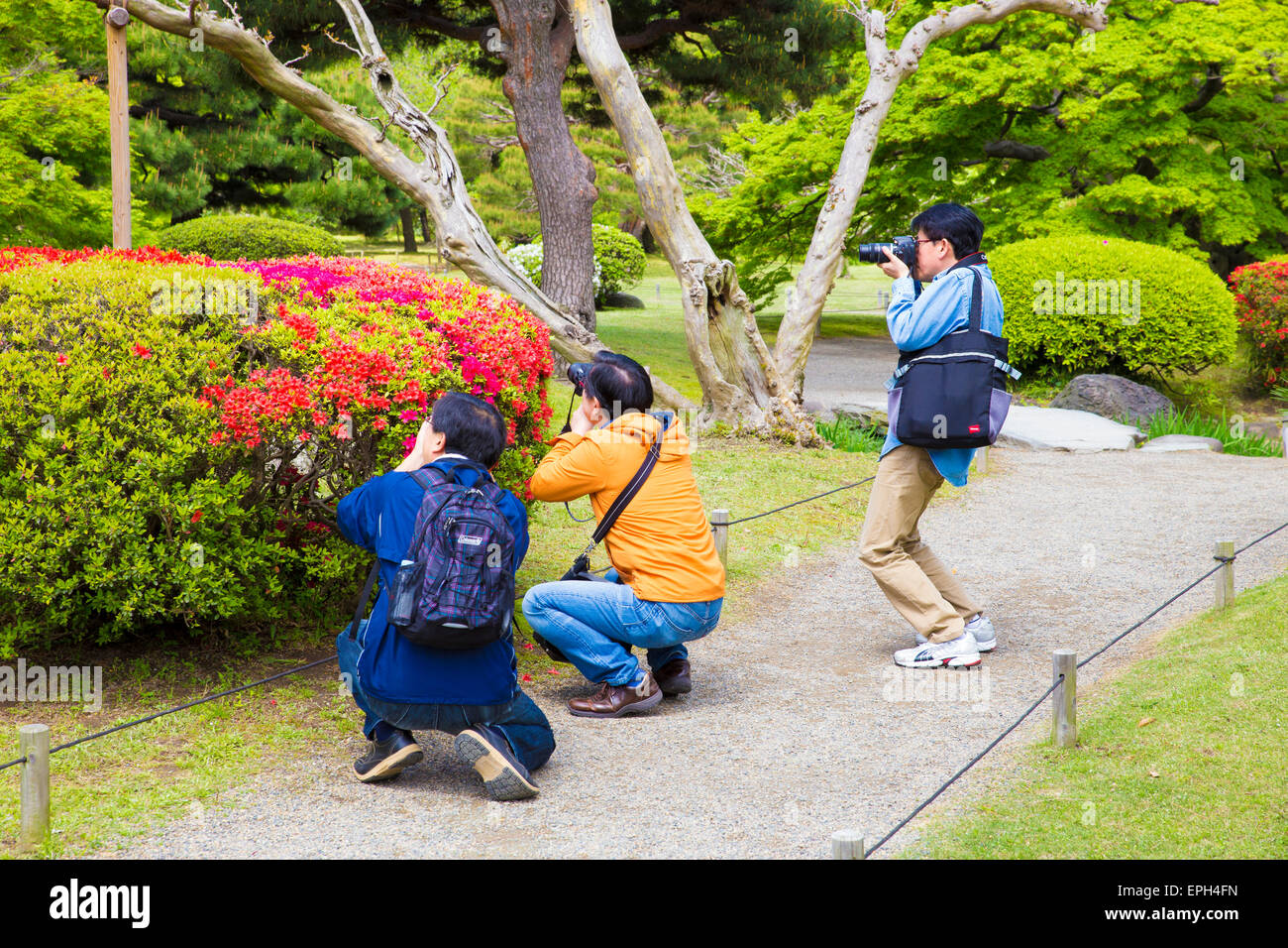 Asian maschi fotografare fiori in un parco a Tokyo, Giappone Foto Stock