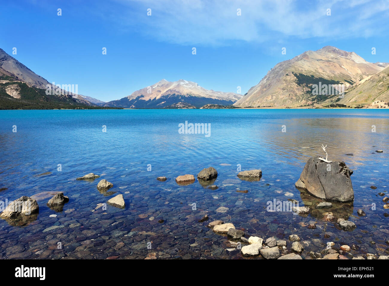 Sulla pietra è una fantasia driftwood secco Foto Stock