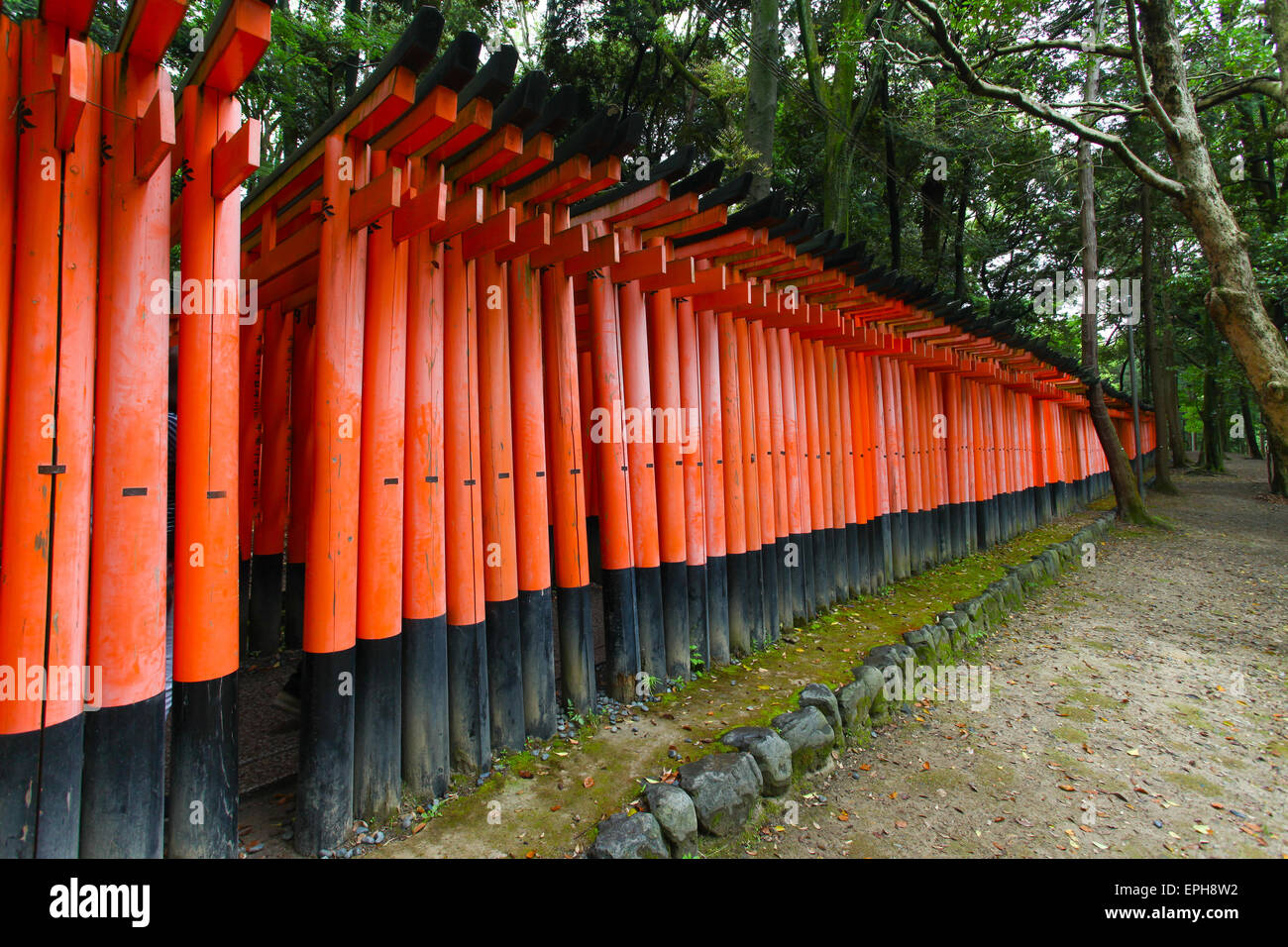 Torii gate a Fushimi Inari-Taish santuario a Kyoto in Giappone Foto Stock