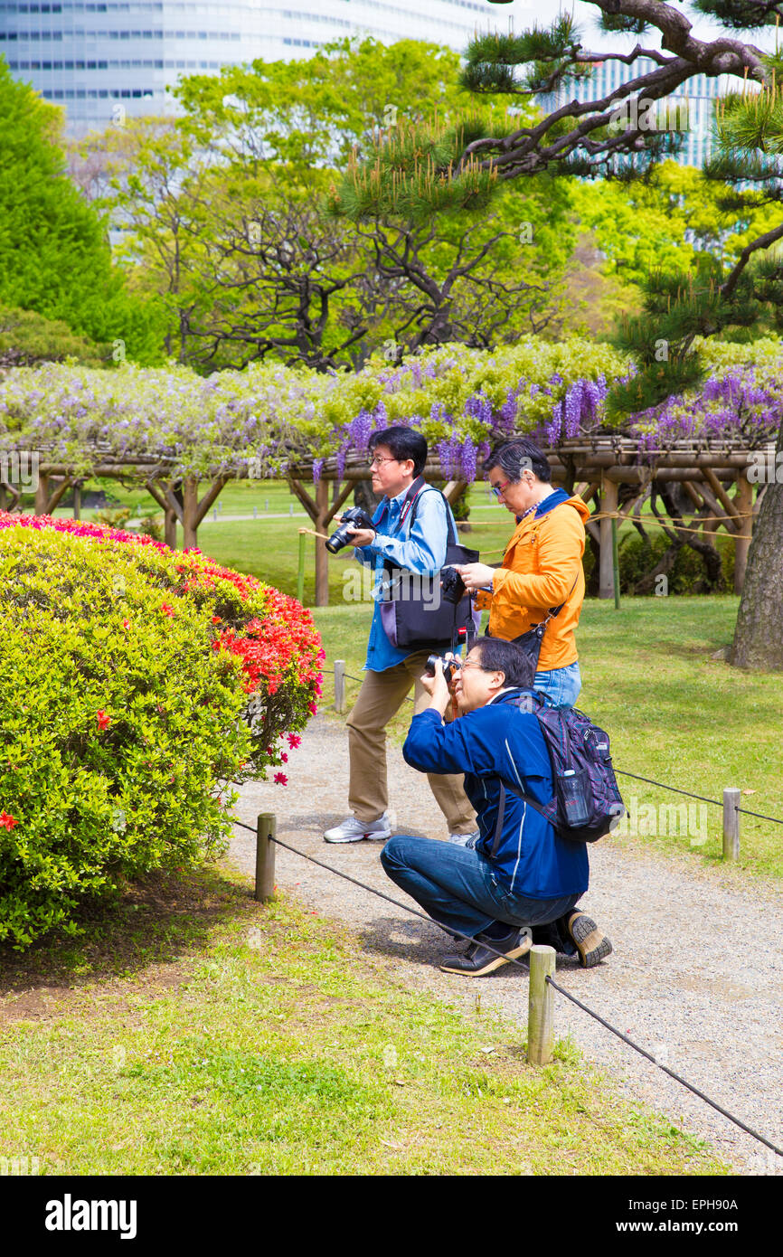 Asian maschi fotografare fiori in un parco a Tokyo, Giappone Foto Stock