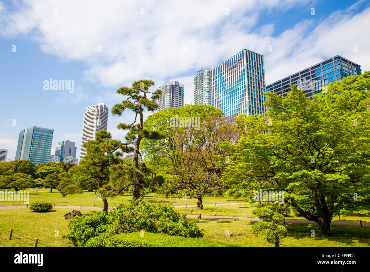 Hama Rikyu gardens con grattacieli in background Foto Stock