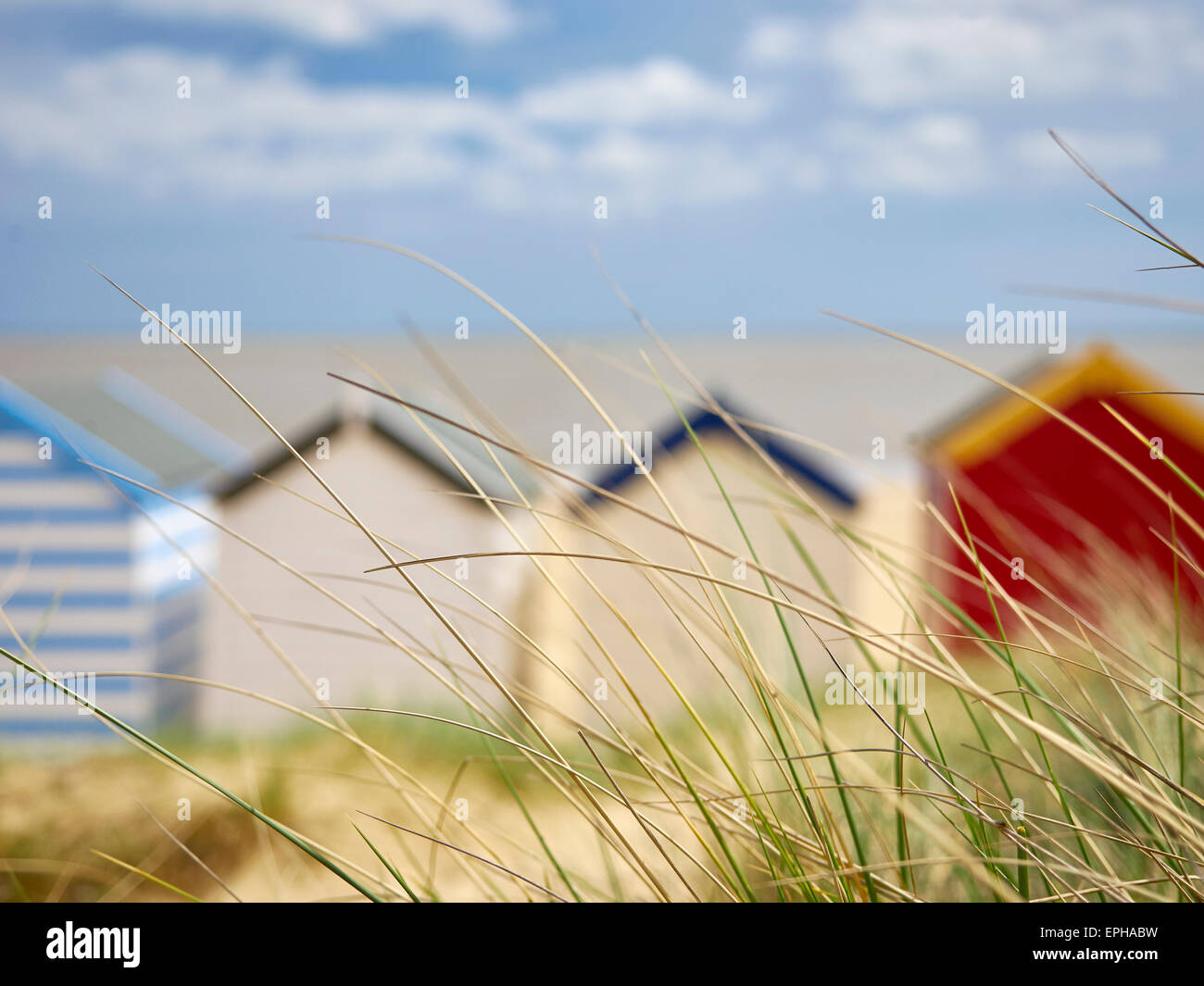 Una fila di seaside beach capanne visto attraverso erba lunga su una duna di sabbia Foto Stock