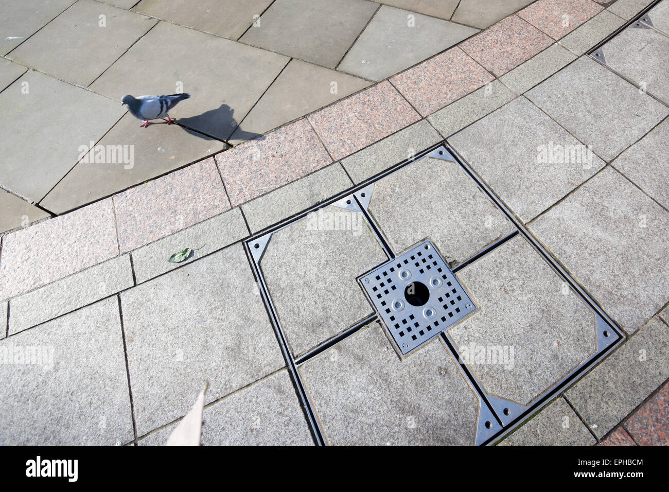 Un piccione facendo una passeggiata attraverso le strade di Leeds City Square. Foto Stock