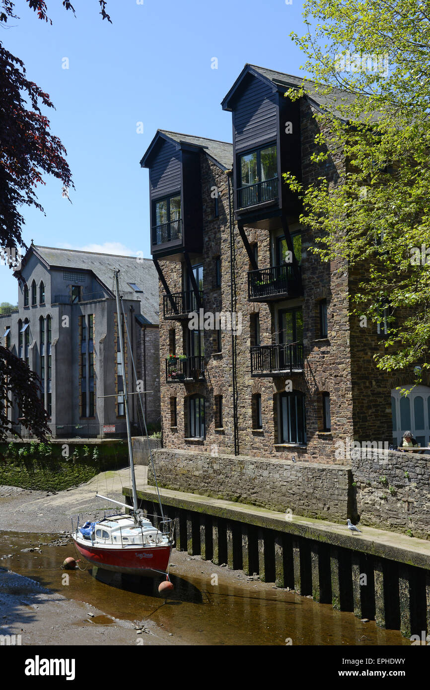 Totnes Devon UK barca ormeggiata sul fiume Dart Foto Stock