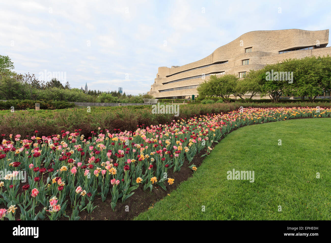 Ottawa Tulip Festival con museo canadese della storia in background Foto Stock