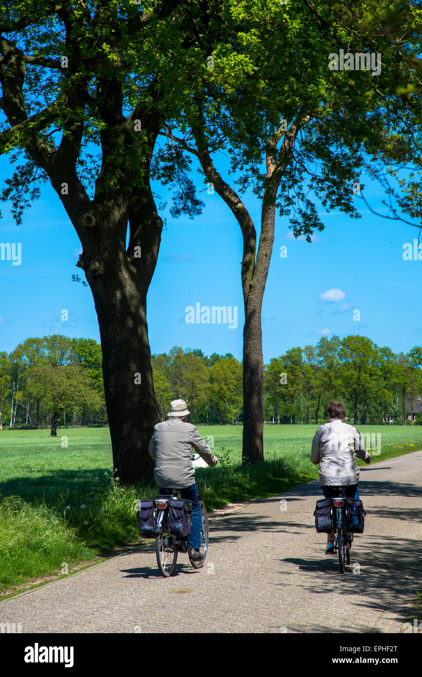 Due più anziani ciclisti a piccola strada in provincia Achterhoek holland Foto Stock