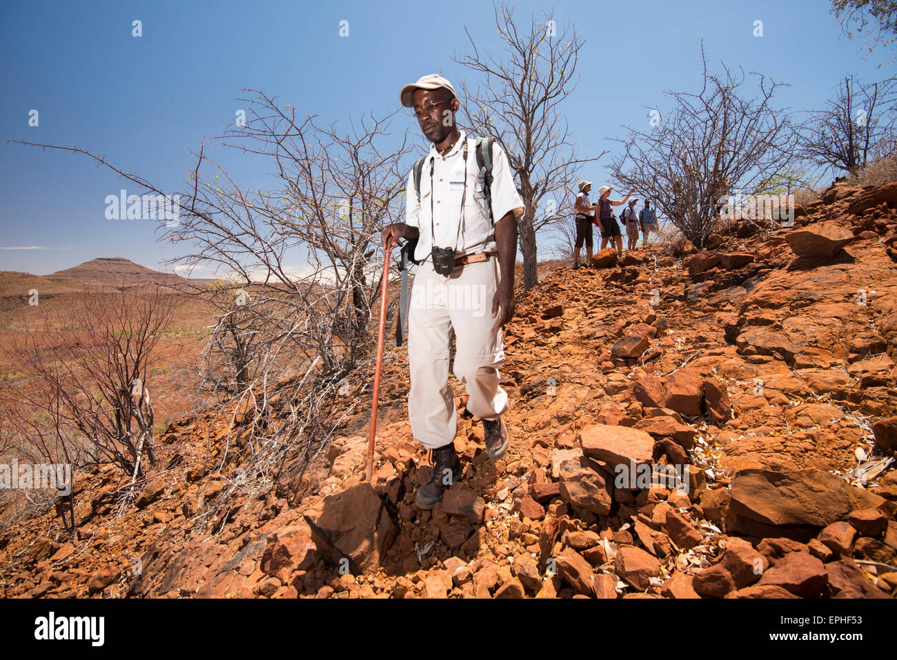 Africa, Namibia. Escursione di un giorno il monitoraggio del deserto rinoceronte nero. Tour a Piedi di guida. Foto Stock