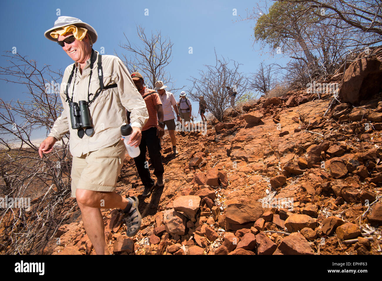 Africa, Namibia. Escursione di un giorno il monitoraggio del deserto rinoceronte nero. Gruppo di turisti escursionismo. Foto Stock