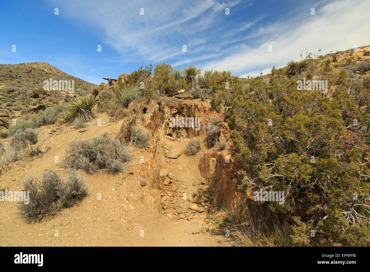 Una fotografia di una miniera test pit presi sul Lost Horse Mine Trail a Joshua Tree National Park, in California. Foto Stock