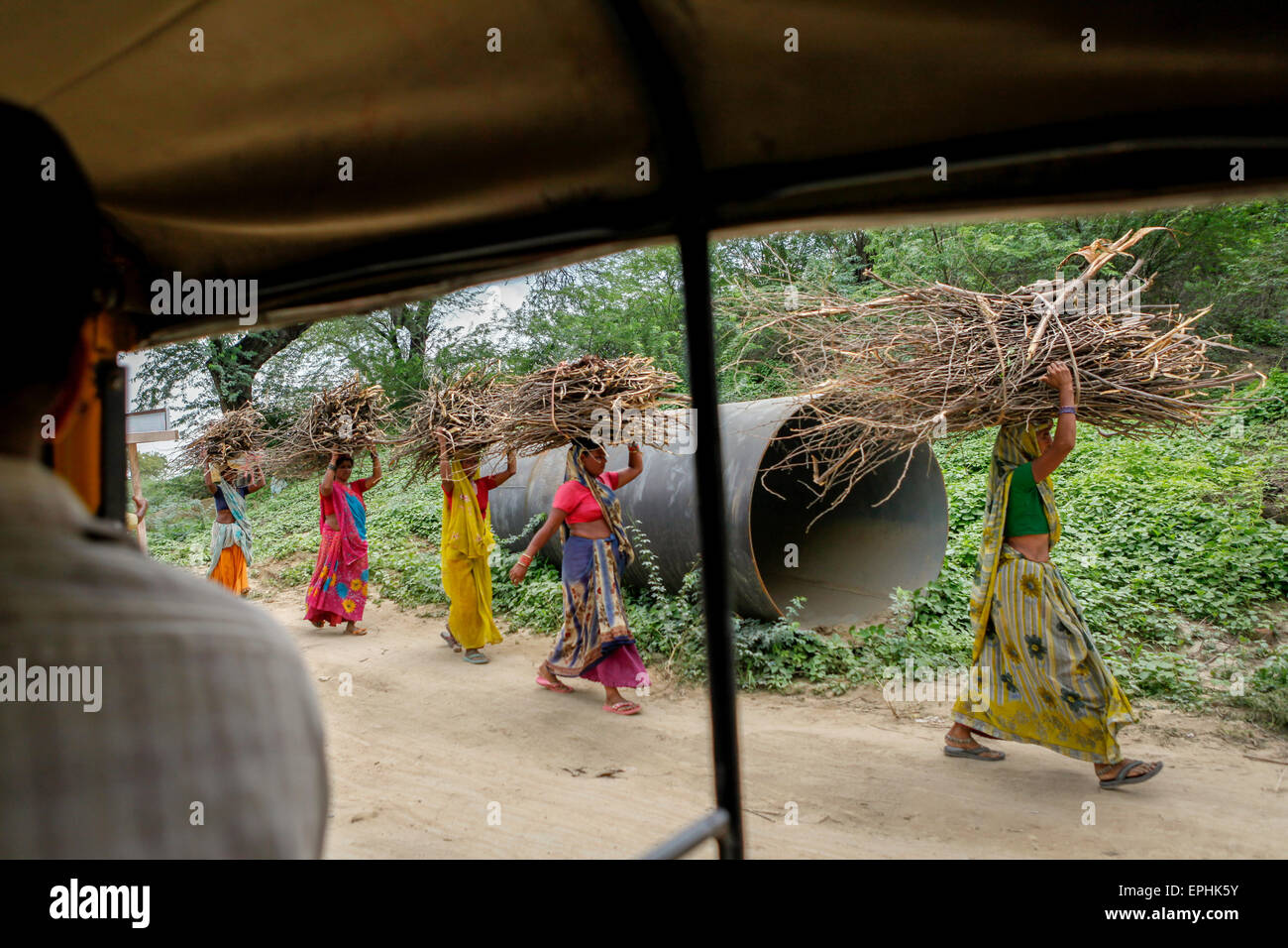 Le donne trasportano la legna da ardere mentre stanno camminando in una linea nella parte rurale di Agra in Utttar Pradesh, India. Foto Stock