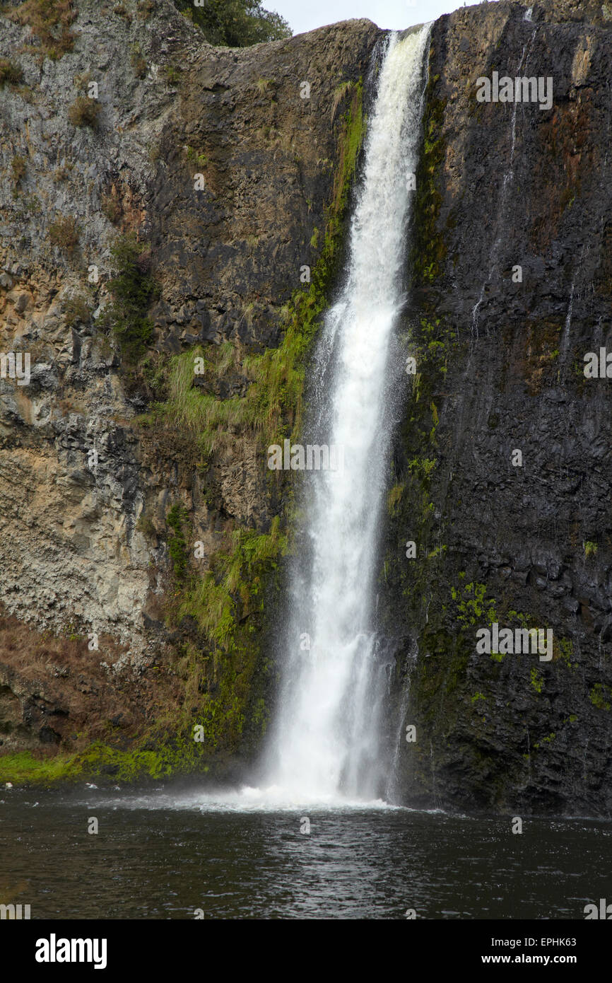 Hunua cade, gamme di Hunua, Auckland, Isola del nord, Nuova Zelanda Foto Stock