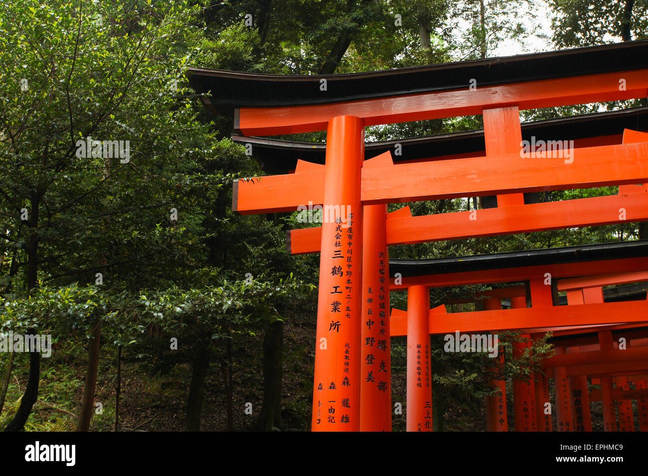 Torii gate a Fushimi Inari-Taish santuario a Kyoto in Giappone Foto Stock