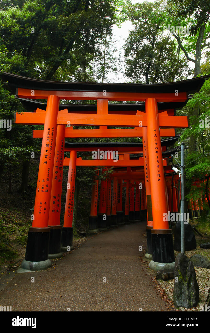 Torii gate a Fushimi Inari-Taish santuario a Kyoto in Giappone Foto Stock