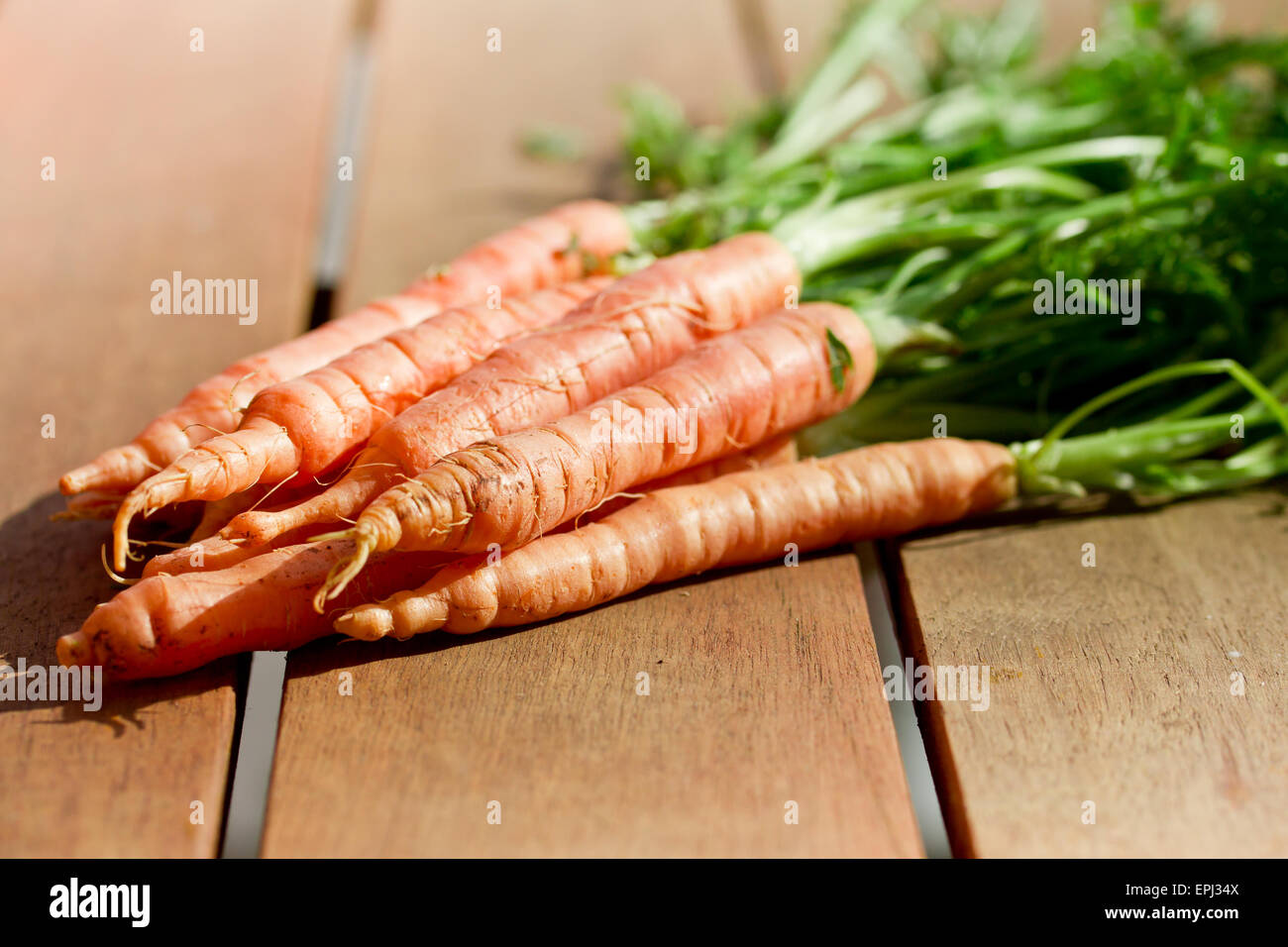 carote Foto Stock