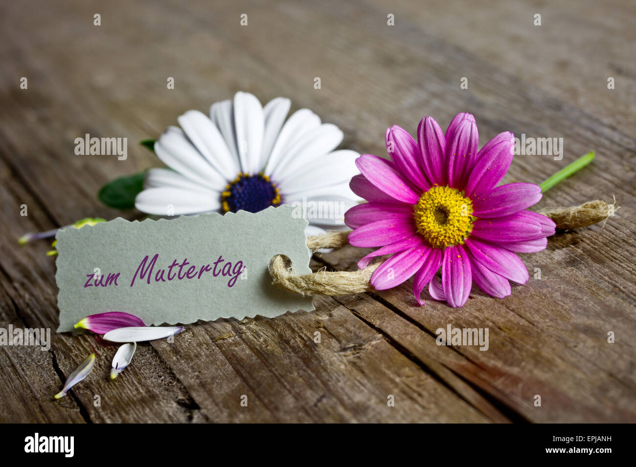 Festa della mamma Foto Stock
