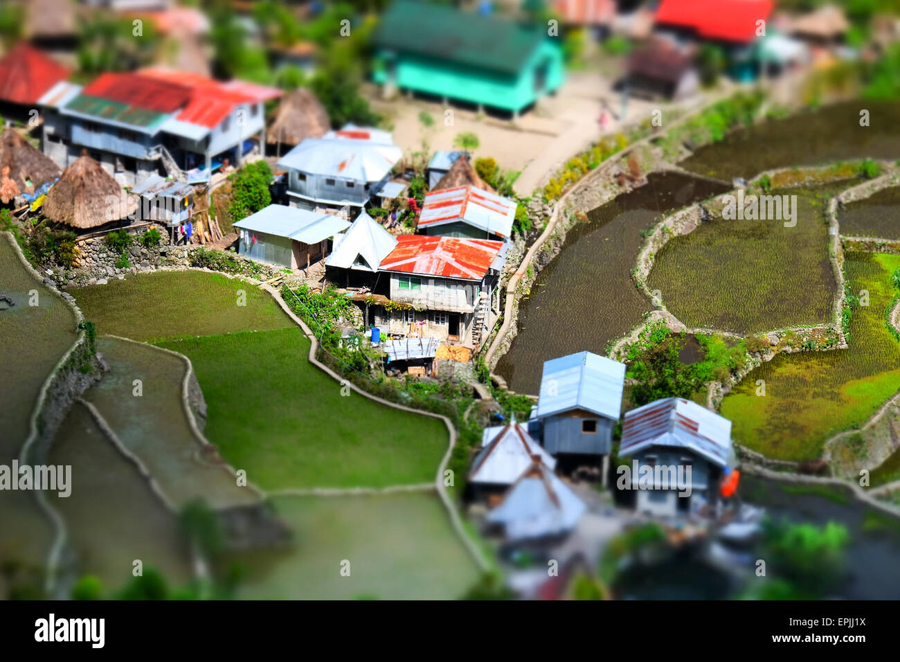 Amazing tilt shift effetto vista delle terrazze di riso di campi e case di villaggio in provincia di Ifugao montagne. Banaue, Filippine UNES Foto Stock