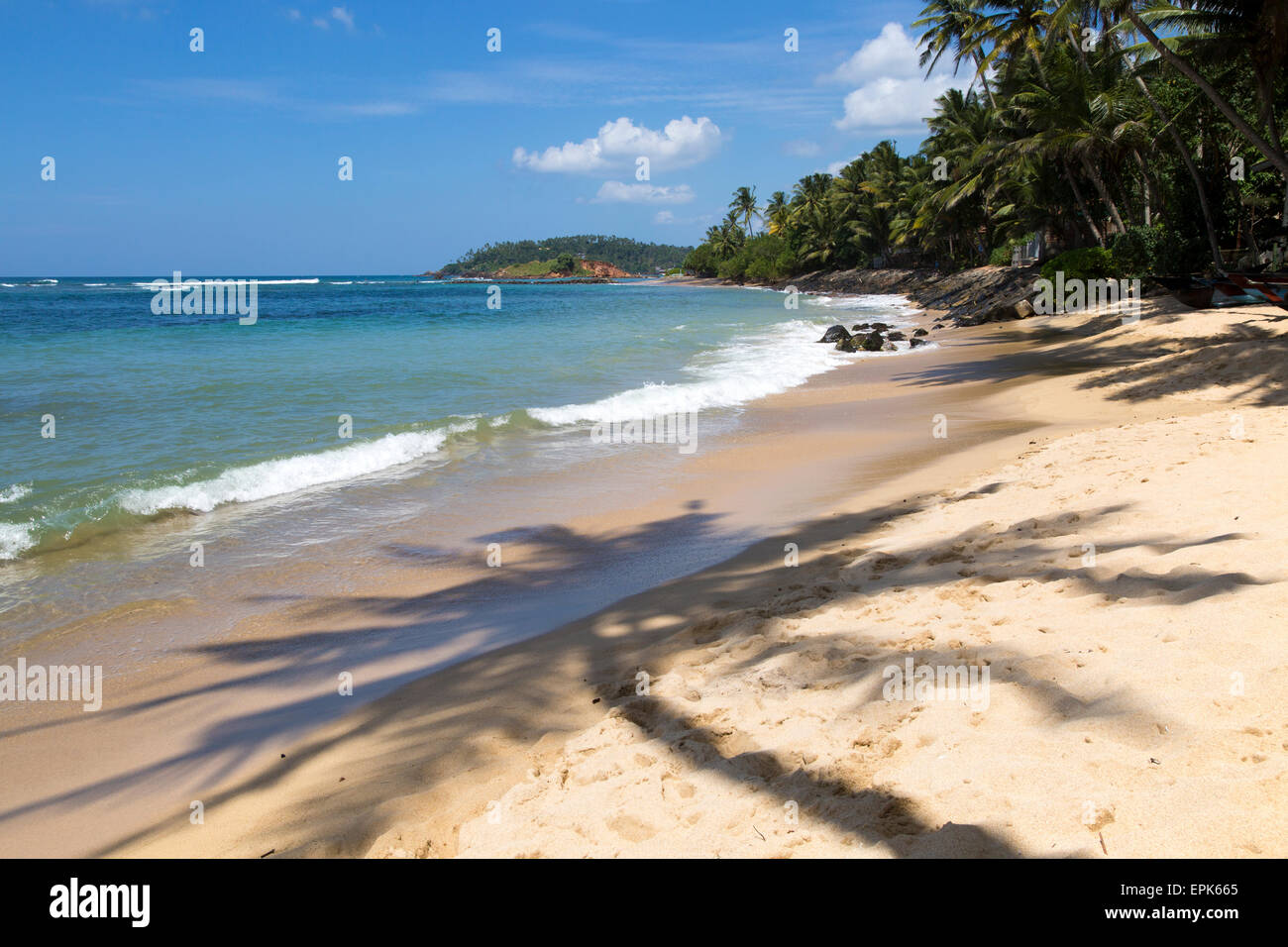 Paesaggio tropicale di palme e una spiaggia sabbiosa, Mirissa, Sri Lanka, Asia Foto Stock