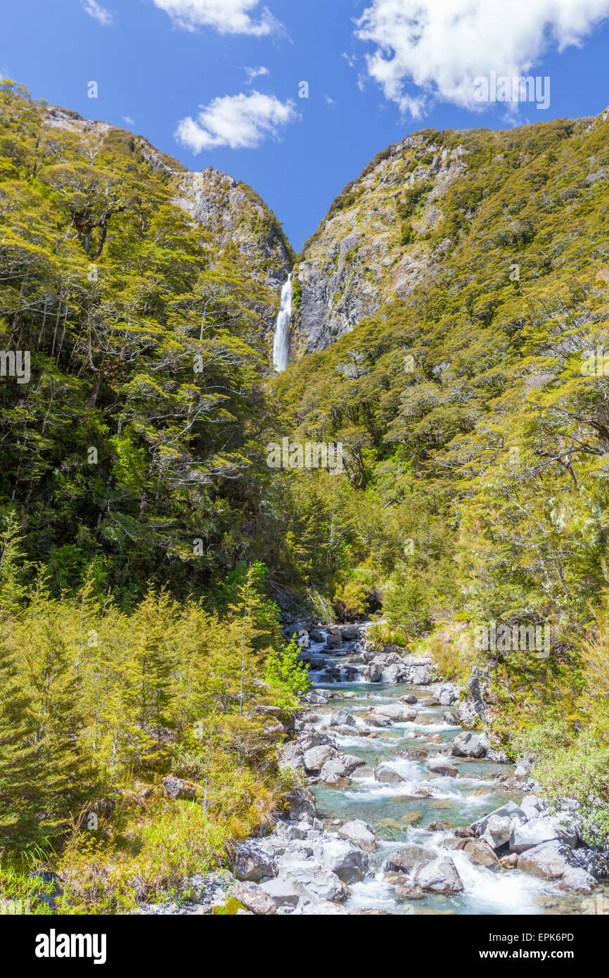 Majestic Devil's conca cascata, Arthur's Pass, Canterbury, Nuova Zelanda. Attrazione turistica fuori della grande autostrada alpina. Foto Stock