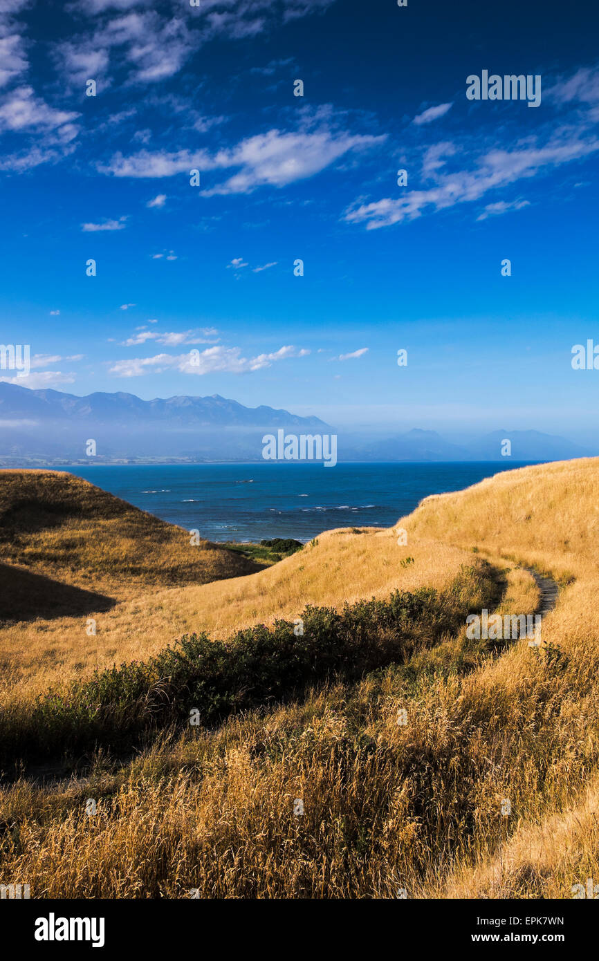 Kaikoura Peninsula di South Island, in Nuova Zelanda. Foto Stock