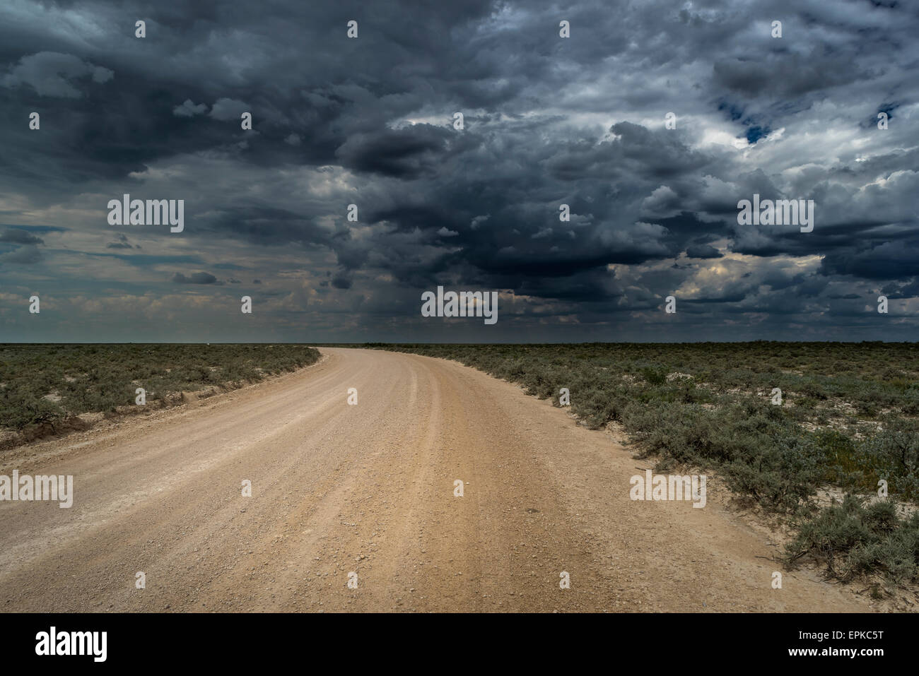 Strada e nuvole di tempesta in Etosha National Park, Namibia, Africa Foto Stock