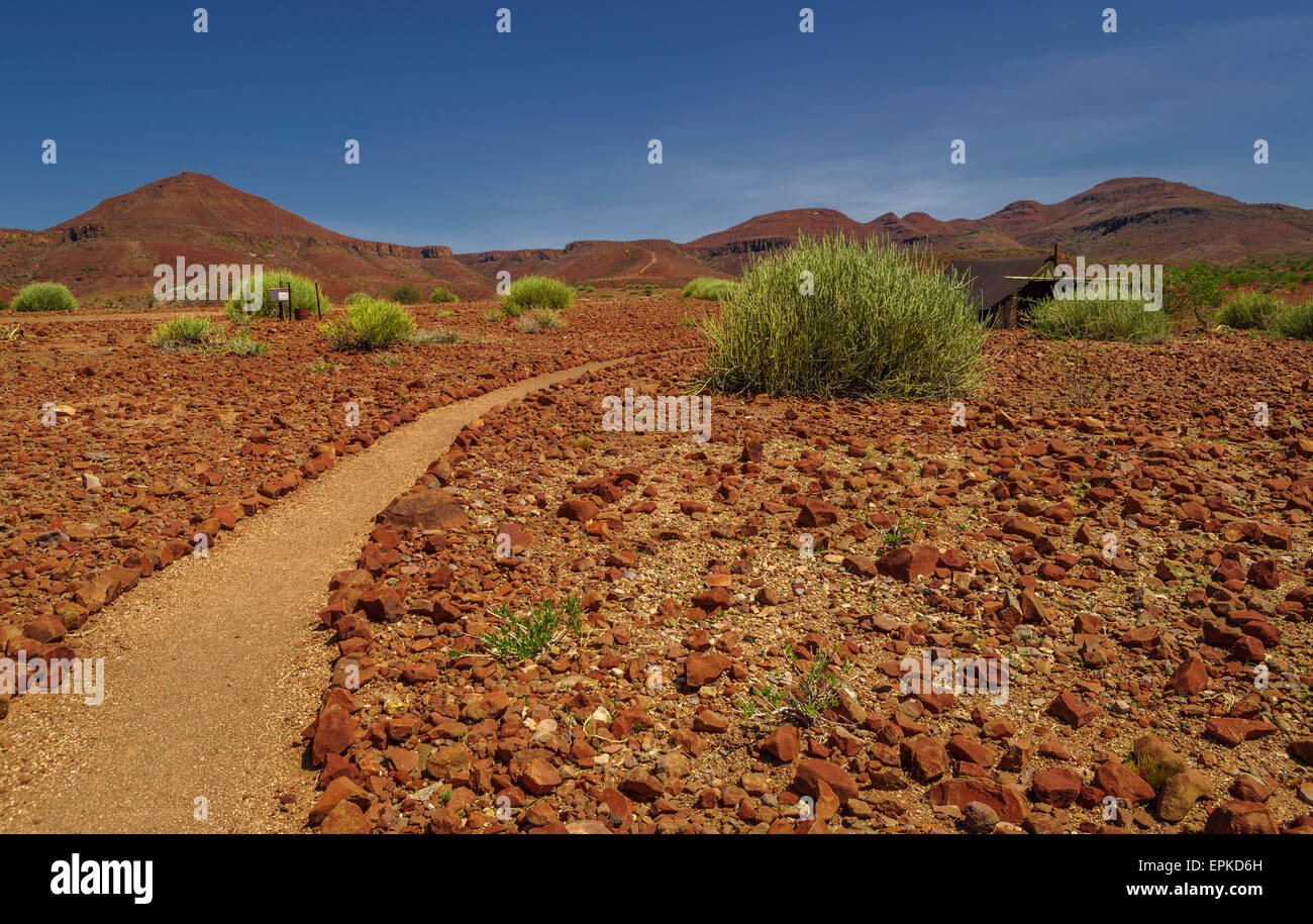 Percorso da Etendeka Mountain Lodge, Namibia, Africa Foto Stock