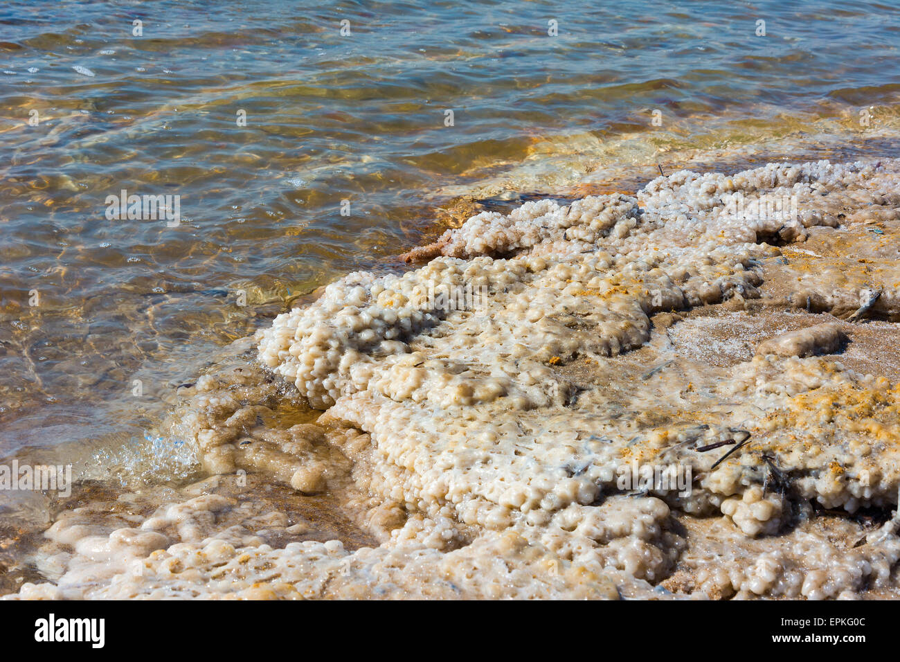 Dettaglio della spiaggia del Mar Morto in Giordania Foto Stock