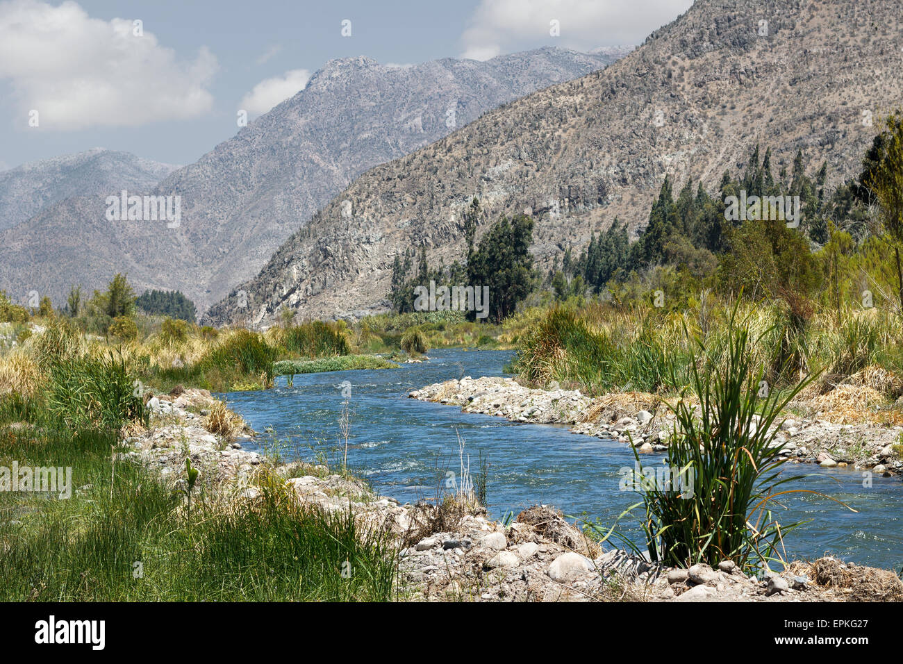 Idilliaco fiume Fosso nelle montagne delle Ande Cile Foto Stock