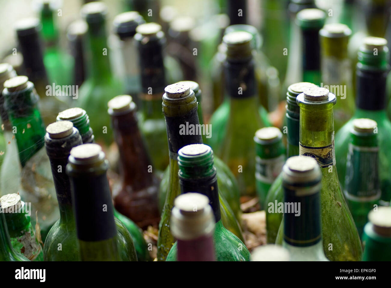 Le bottiglie di vino come parete di materiale di costruzione Foto Stock