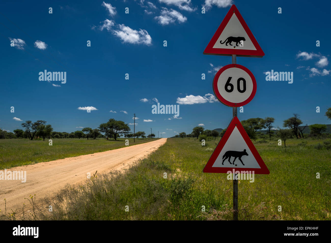 Strada e segnaletica stradale con limite di velocità e animal crossing, l'Okonjima, Namibia, Africa Foto Stock