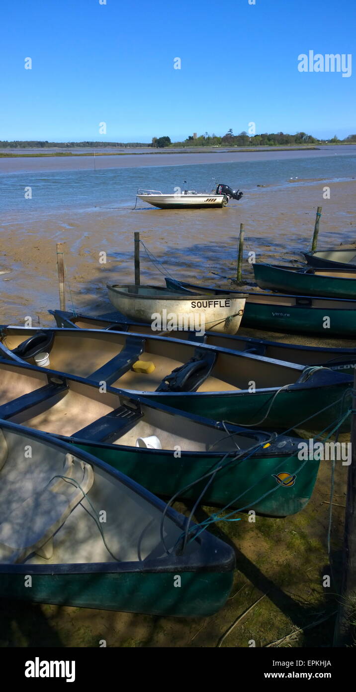 Snape Maltings Suffolk, est anglian, giornaliero, volte, Foto Stock