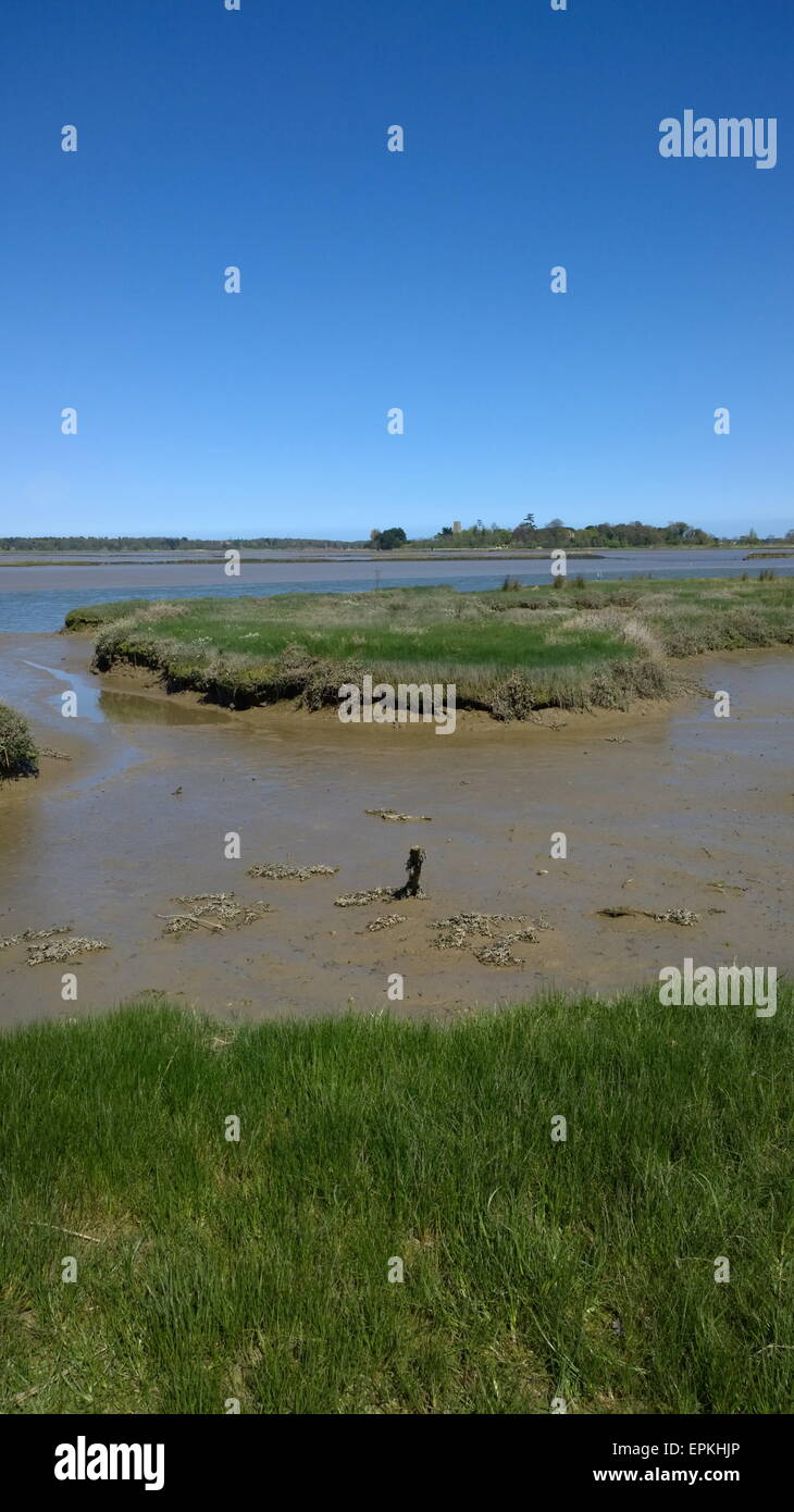 Snape Maltings Suffolk, est anglian, giornaliero, volte, Foto Stock