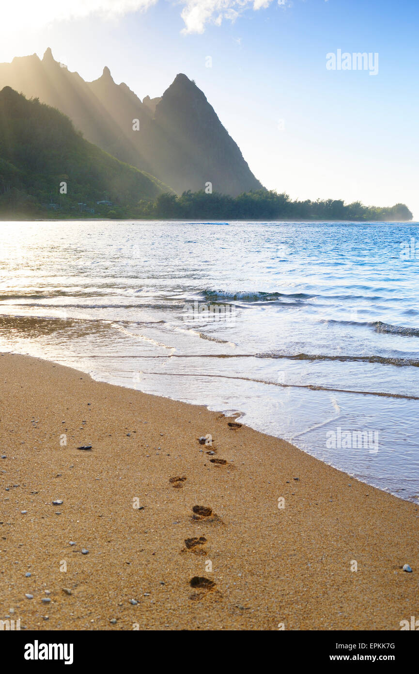 Stati Uniti d'America, Hawaii, Hanalei, vista della Costa Na Pali, Haena Beach, footmarks Foto Stock