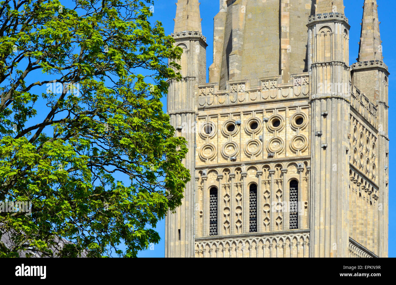 Norwich, Norfolk, Inghilterra. Norwich Cathedral (1096-1145) tower Foto Stock
