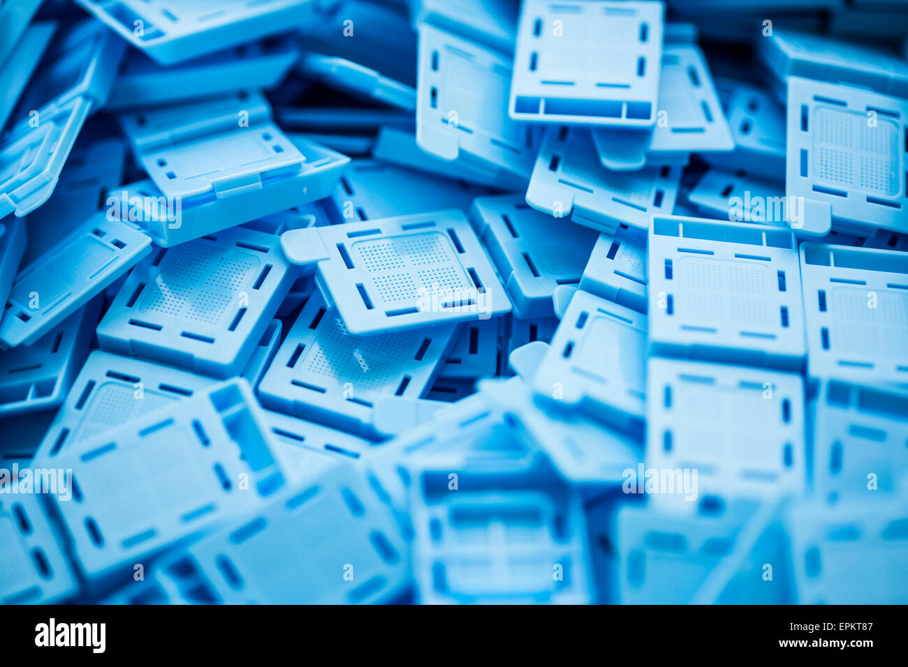 Cassette per inclusione per l'esame istologico Foto Stock