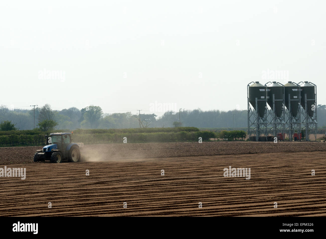 Agricoltura intensiva, Sutton Heath, Suffolk, Regno Unito. Foto Stock